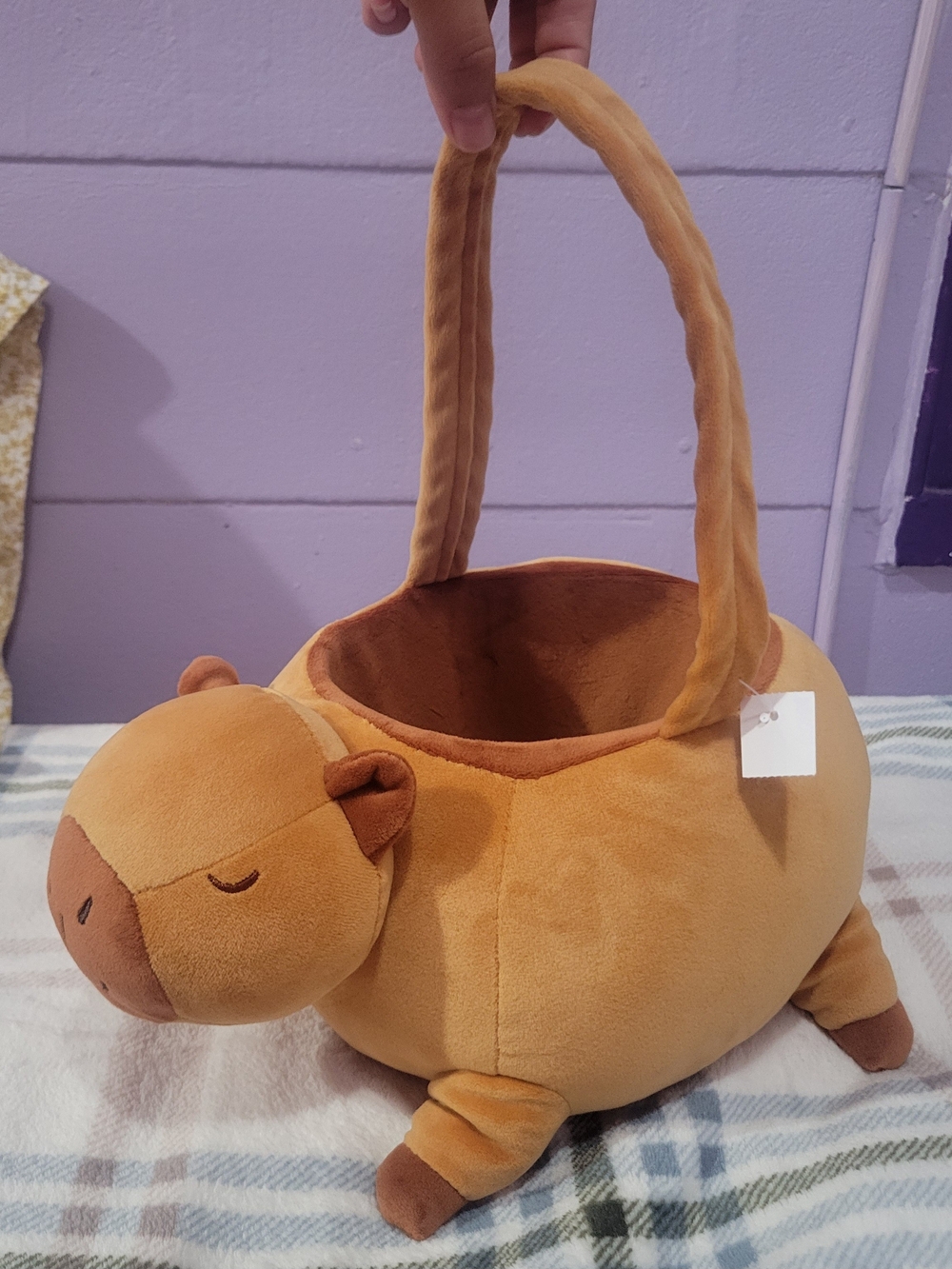 NWT Capybara Halloween Treat Or Treat Basket, World Market